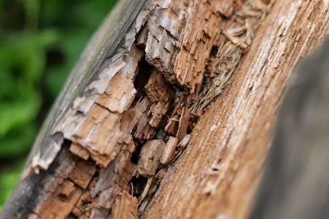 Holzmaserung 4K Hintergrundbild · minimal · 3840×2562