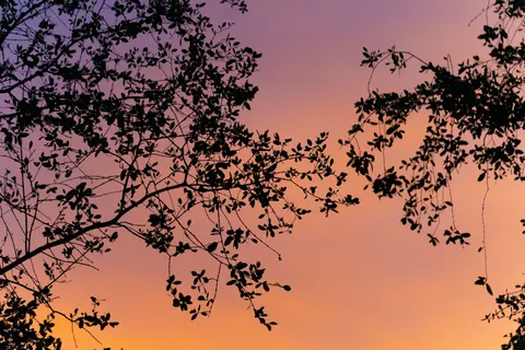 Pastel Sky 4K Wallpaper · minimal · 3840×2560