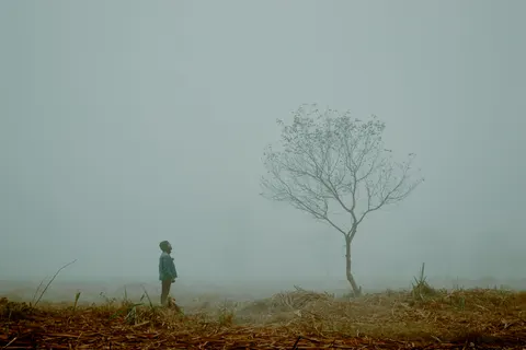 Lone Tree 4K Wallpaper · minimal · 3840×2560