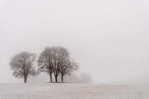 Hình nền Cây cô đơn 4K · minimal · 3840×2560