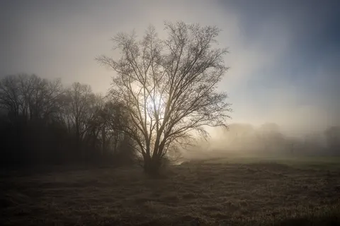 Lone Tree 4K Wallpaper · minimal · 3840×2560