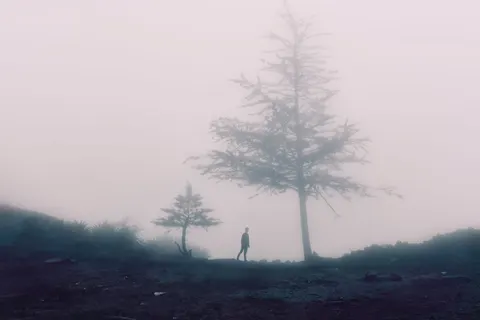Lone Tree 4K Wallpaper · minimal · 3840×2560