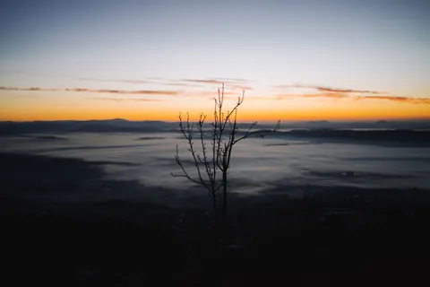 一本の木 4K壁紙 · minimal · 3840×2560