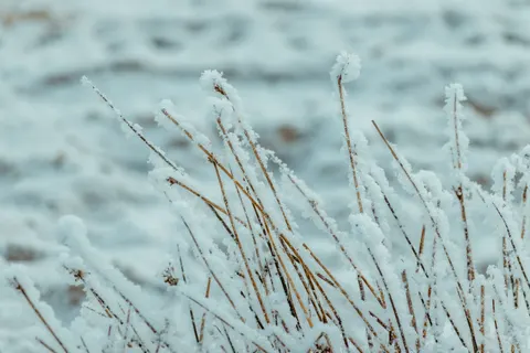 बर्फ़ का मैदान 4K वॉलपेपर · minimal · 3840×2560