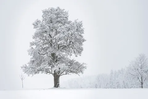 बर्फ़ का मैदान 4K वॉलपेपर · minimal · 3840×2560