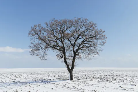 雪原 4K壁纸 · minimal · 3840×2560