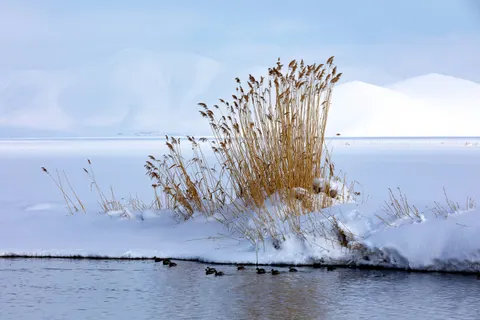 Sneeuwvlakte 4K-achtergrond · minimal · 3840×2560