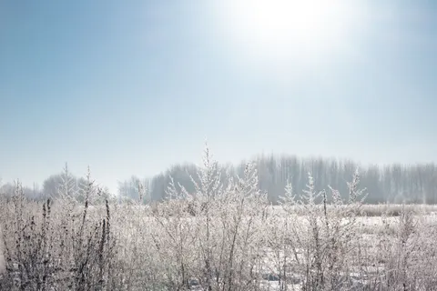 والپیپر برف‌زار با کیفیت 4K · minimal · 3840×2560