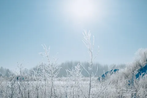 Sneeuwvlakte 4K-achtergrond · minimal · 3840×2560