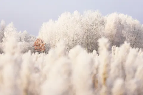Hình nền Cánh đồng tuyết 4K · minimal · 3840×2559