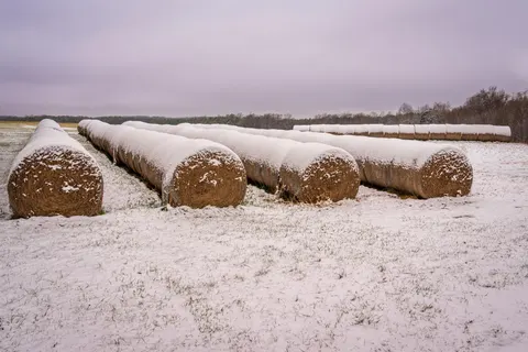 Tapeta Śnieżne pole 4K · minimal · 3840×2560