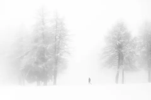 Misty Woods 4K Wallpaper · minimal · 3840×2560