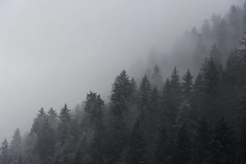 خلفية بسيط بدقة 4K · minimal · 3840×2557
