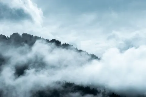 Misty Woods 4K Wallpaper · minimal · 3840×2560
