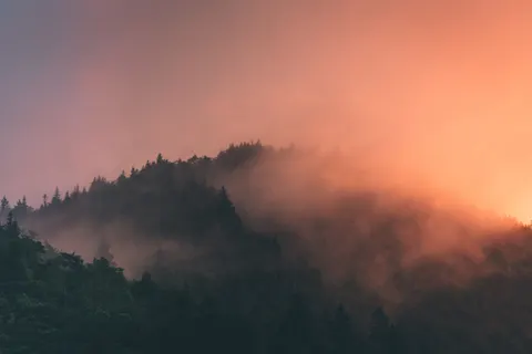 Misty Woods 4K Wallpaper · minimal · 3840×2563