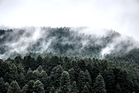 极简 4K壁纸 · minimal · 3840×2564