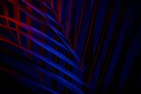 ネオンアブストラクト 4K壁紙 · abstract · 3840×2560