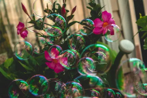 Soap Bubble 4K Wallpaper · abstract · 3840×2560