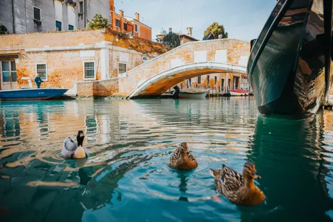 Sfondo Canale di Venezia 4K · architecture · 3840×2560