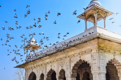 Taj Mahal 4K Hintergrundbild · architecture · 3840×2560