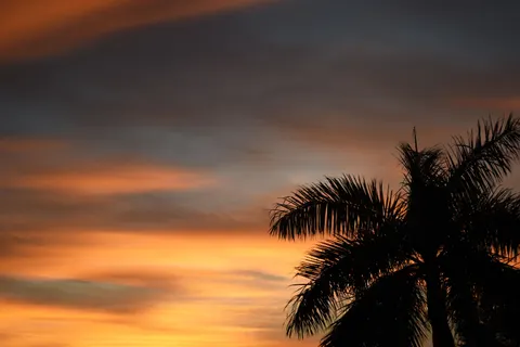 Tropical Sunset 4K Wallpaper · tropical · 3840×2560