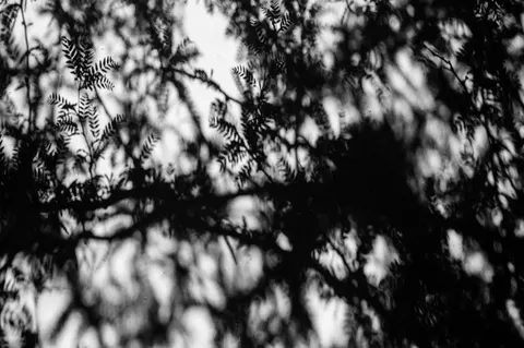 Dark Texture 4K Wallpaper · dark · 3840×2555