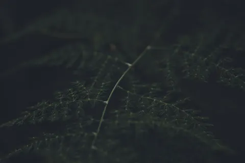 Dark Texture 4K Wallpaper · dark · 3840×2560
