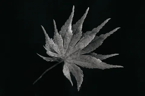 Dark Texture 4K Wallpaper · dark · 3840×2549