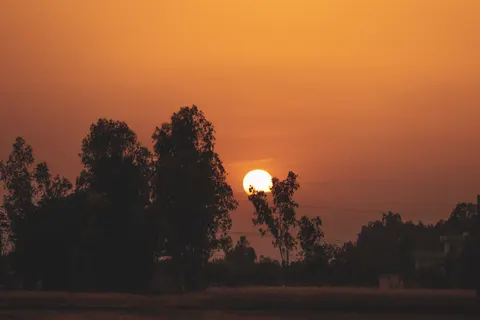 Sunset Silhouette 4K Wallpaper · sunset · 3840×2560