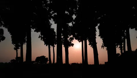 Sunset Silhouette 4K Wallpaper · sunset · 3840×2190