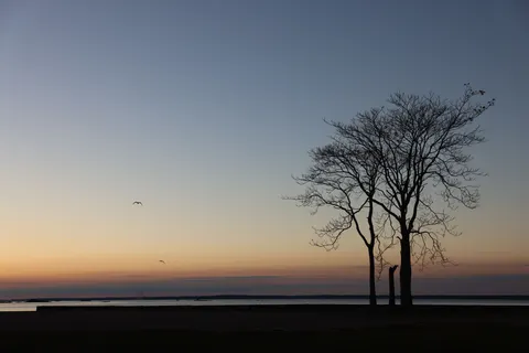 Sunset Silhouette 4K Wallpaper · sunset · 3840×2561