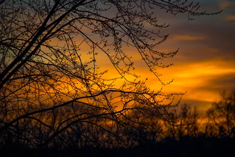 Sunset Silhouette 4K Wallpaper · sunset · 3840×2560