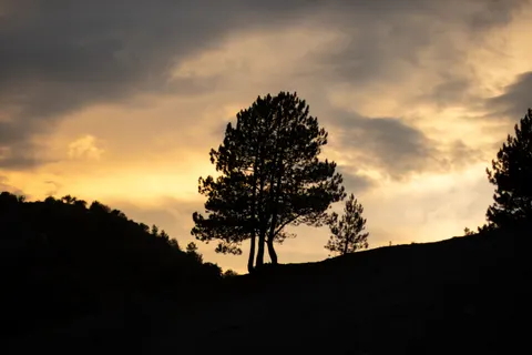 Sunset Silhouette 4K Wallpaper · sunset · 3840×2560
