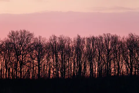 Sunset Silhouette 4K Wallpaper · sunset · 3840×2560