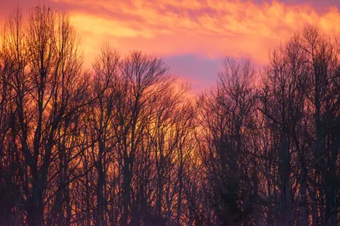 Sunset Silhouette 4K Wallpaper · sunset · 3840×2560