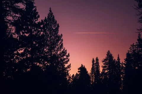 Sunset Silhouette 4K Wallpaper · sunset · 3840×2560