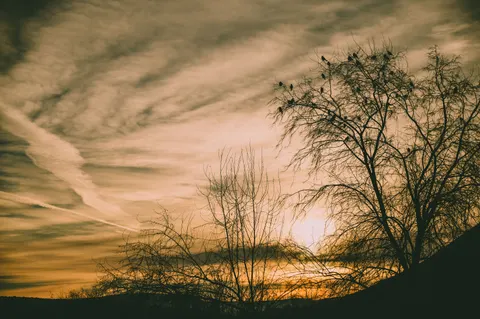 Sunset Silhouette 4K Wallpaper · sunset · 3840×2555