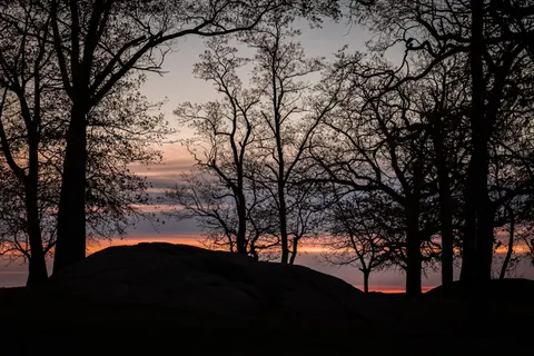 Sunset Silhouette 4K Wallpaper · sunset · 3840×2560