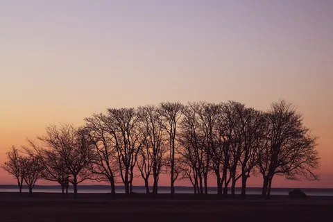 Sunset Silhouette 4K Wallpaper · sunset · 3840×2561