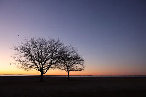 Sunset Silhouette 4K Wallpaper · sunset · 3840×2561