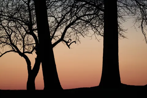 Sunset Silhouette 4K Wallpaper · sunset · 3840×2561