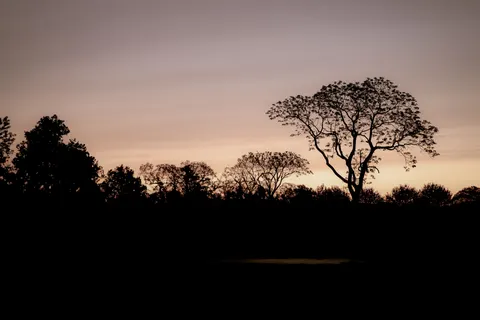 Sunset Silhouette 4K Wallpaper · sunset · 3840×2561