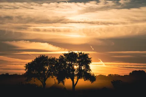 Sunset Silhouette 4K Wallpaper · sunset · 3840×2560