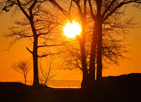 Sunset Silhouette 4K Wallpaper · sunset · 3840×2797