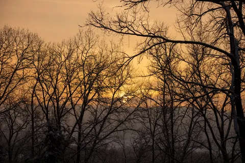 Sunset Silhouette 4K Wallpaper · sunset · 3840×2560
