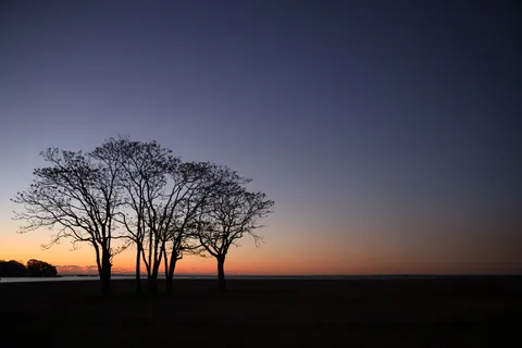 Sunset Silhouette 4K Wallpaper · sunset · 3840×2561