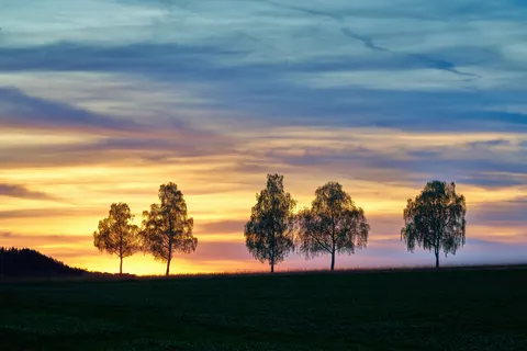 Sunset Silhouette 4K Wallpaper · sunset · 3840×2560