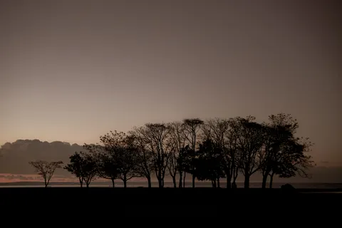 Sunset Silhouette 4K Wallpaper · sunset · 3840×2561