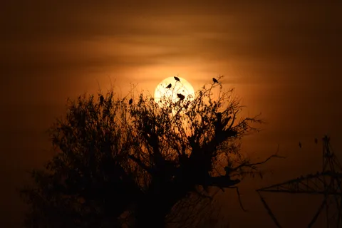 Sunset Silhouette 4K Wallpaper · sunset · 3840×2560