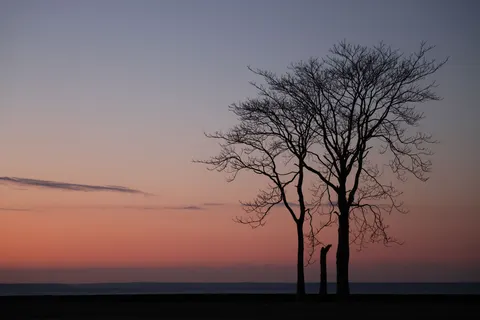 Sunset Silhouette 4K Wallpaper · sunset · 3840×2561
